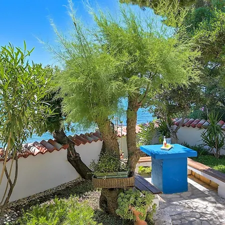 Donatella * 扎达尔